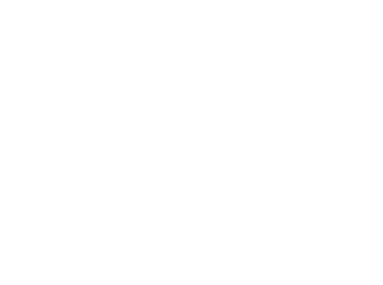 Nouveau Front Populaire