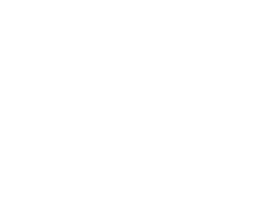 solution bi